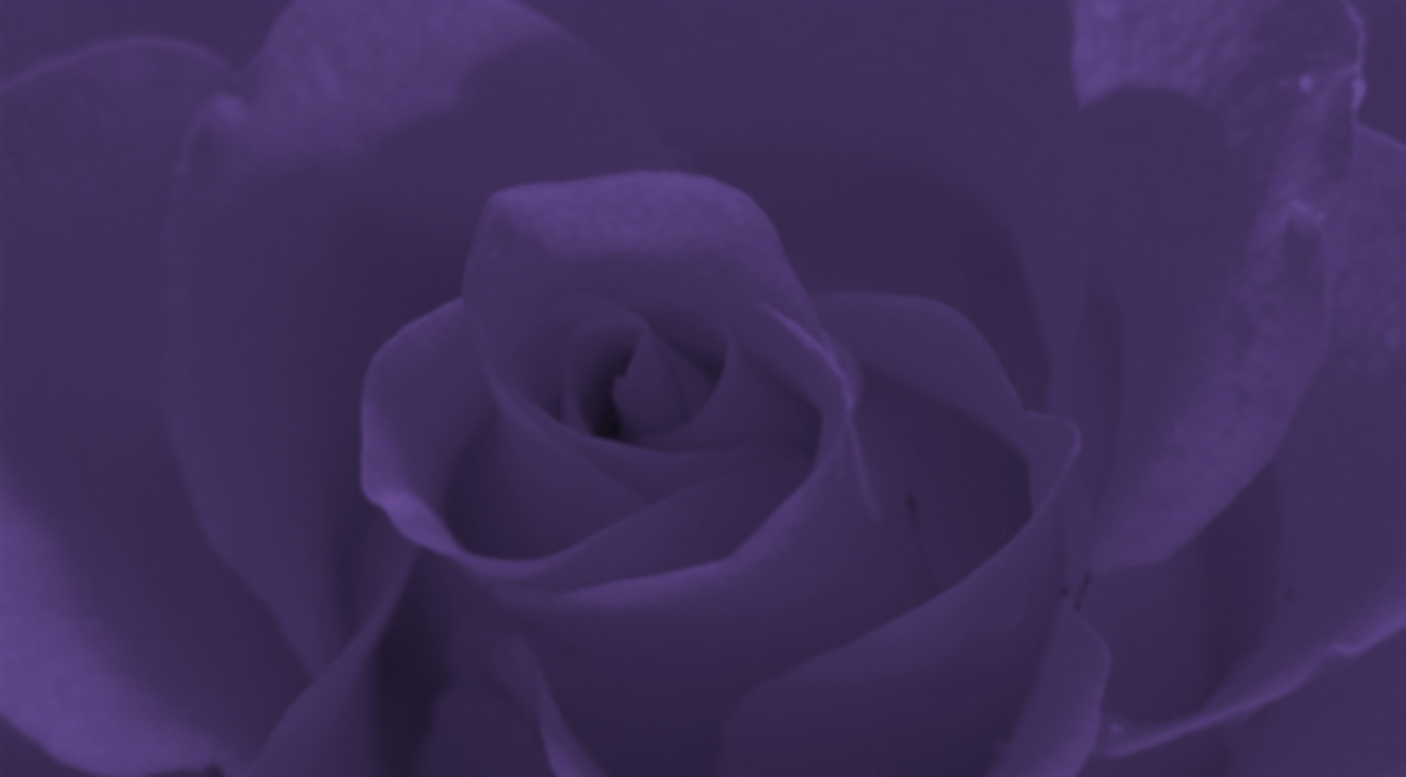 parallax background